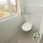 Suzanne Nr. 21 *