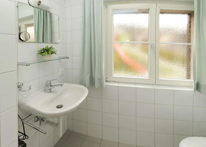 Suzanne Nr- 21 By Interhome شقة غشتاد